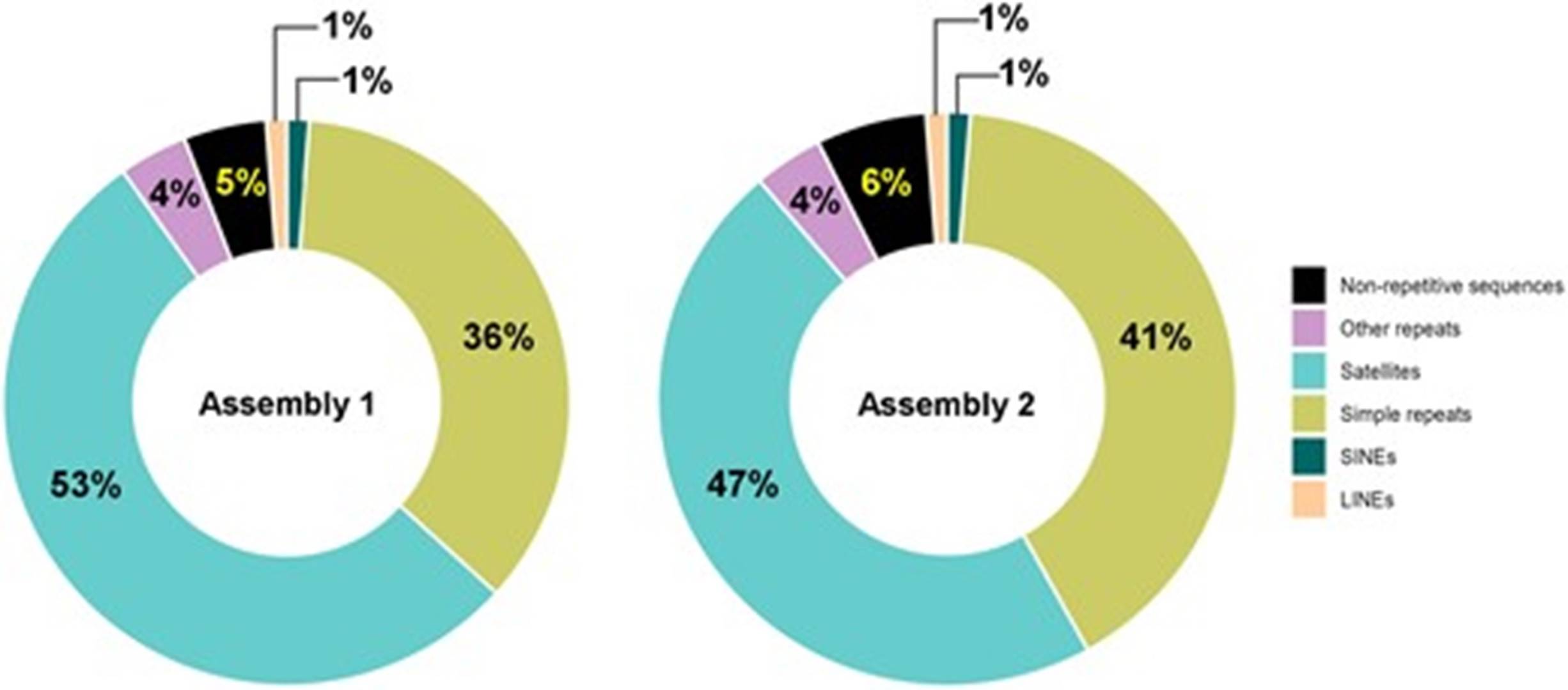 Repeat elements detected in the non-redundant sequences (NRS) across both de novo assemblies. (Köroğlu, Çiğdem, et al., 2024)