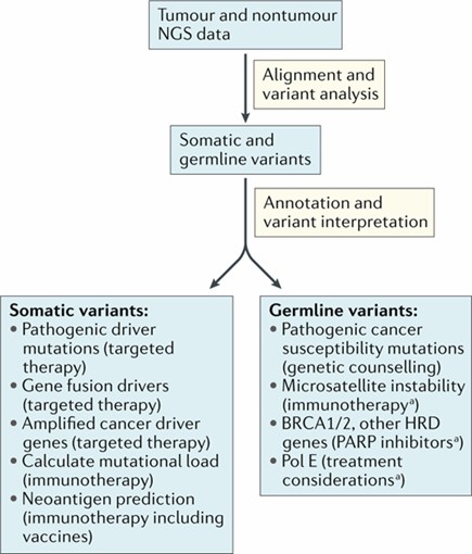 Applications of Gene Fragment Analysis in Biomedical Research