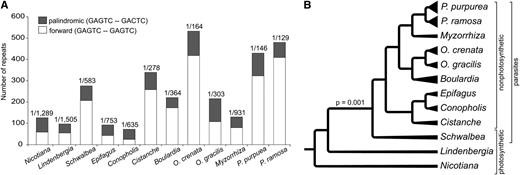 Repeat DNA in Plastomes of Orobanchaceae.