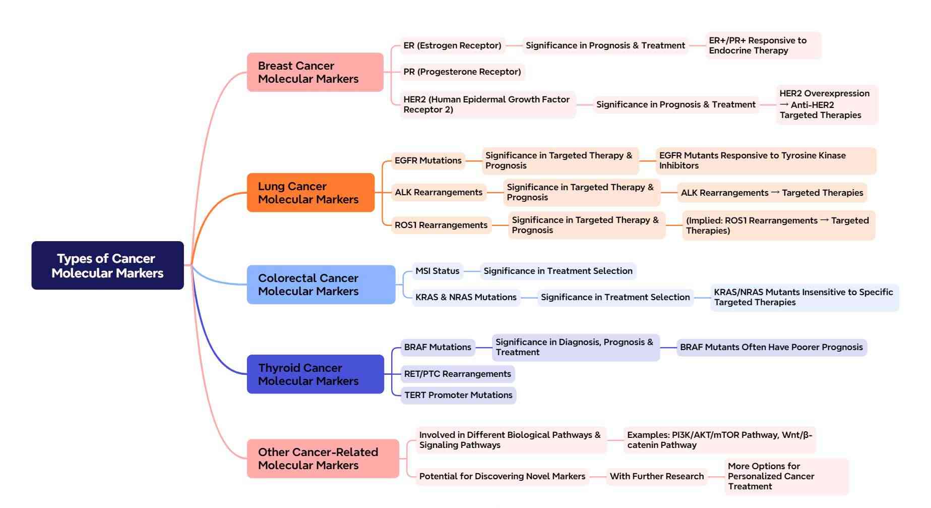 Cancer Molecular Markers: Overview of Types & Detection Methods