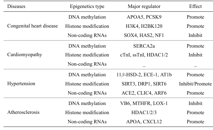 Summary of researches on epigenetic modifications in the cardiovascular diseases (Wang et al., 2024)