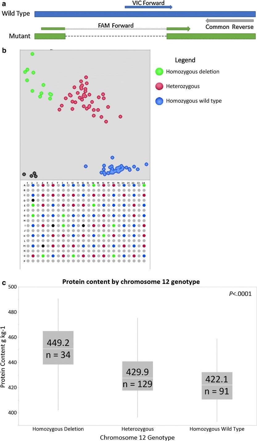 Haplotype-driven seed protein composition variation revealed by QTL mapping in soybean RIL populations (Prenger et al., 2019) 