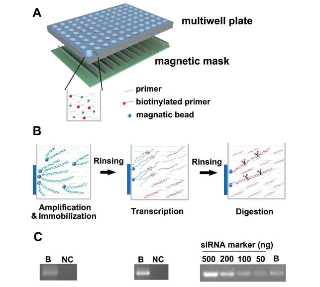 Magnetic bead extraction method (Wang et al., 2012)