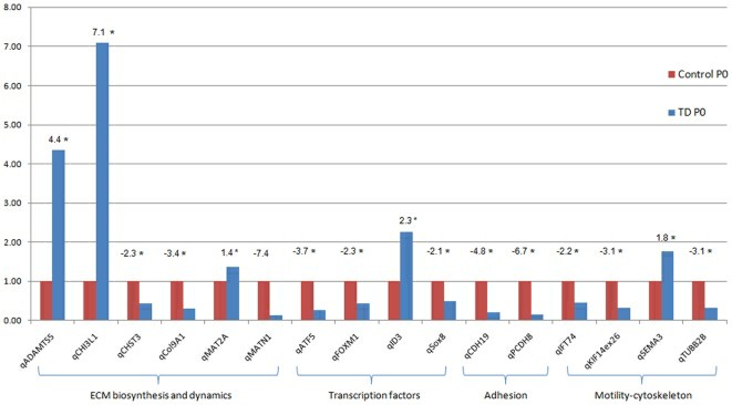 The expression levels, which are represented by qPCR results, are depicted as a bar graph (Schibler et al., 2009)
