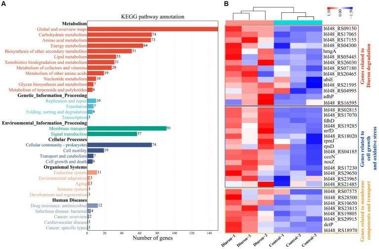 cDNA should be better utilized to study the biodegradation mechanism and metabolic process (Hu et al., 2024)