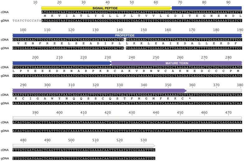 cDNA vs. gDNA: Structure, Function, Biotech Apps, and Why Choose cDNA