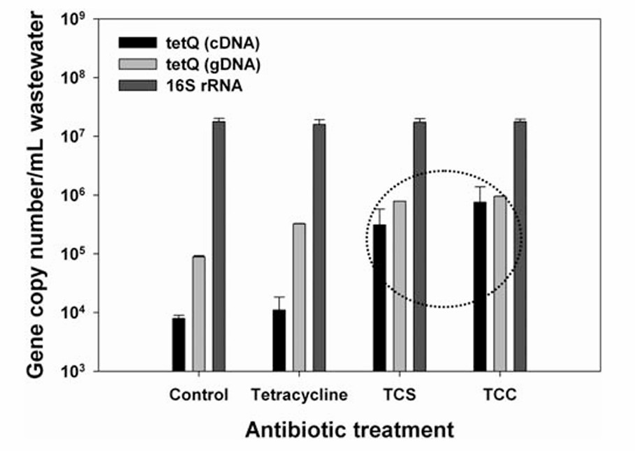 A comparison of cDNA gene expression and gDNA quantification by means of the MLNPs-DNA assay (Son et al., 2010)