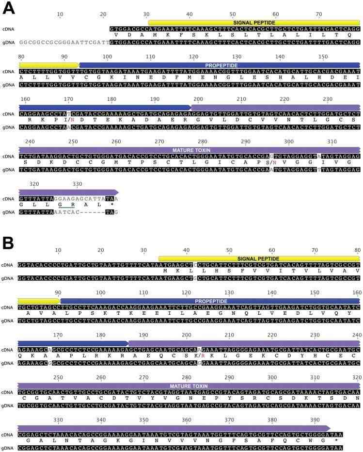 The architecture of cDNA and gDNA sequences for (A) v-hexatoxin-Hi2a and (B) 3-hexatoxin-Hi1 (Pineda et al., 2012)