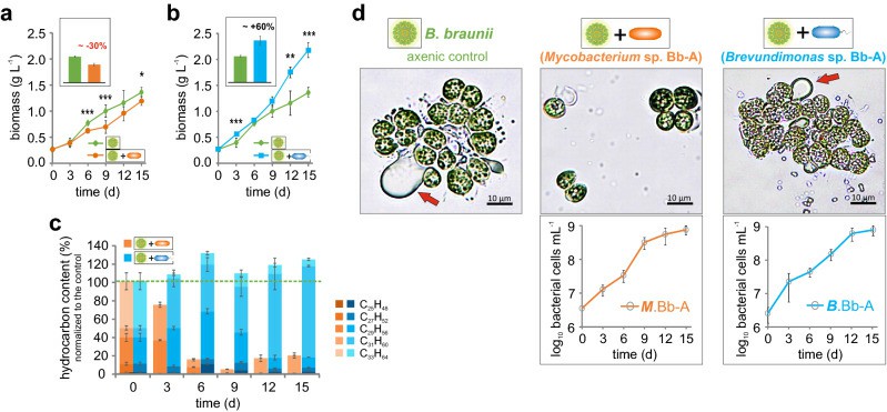 The physiological effects exerted by individual bacterial isolates on microalgae during co-cultivation (Blifernez - Klassen et al., 2021)