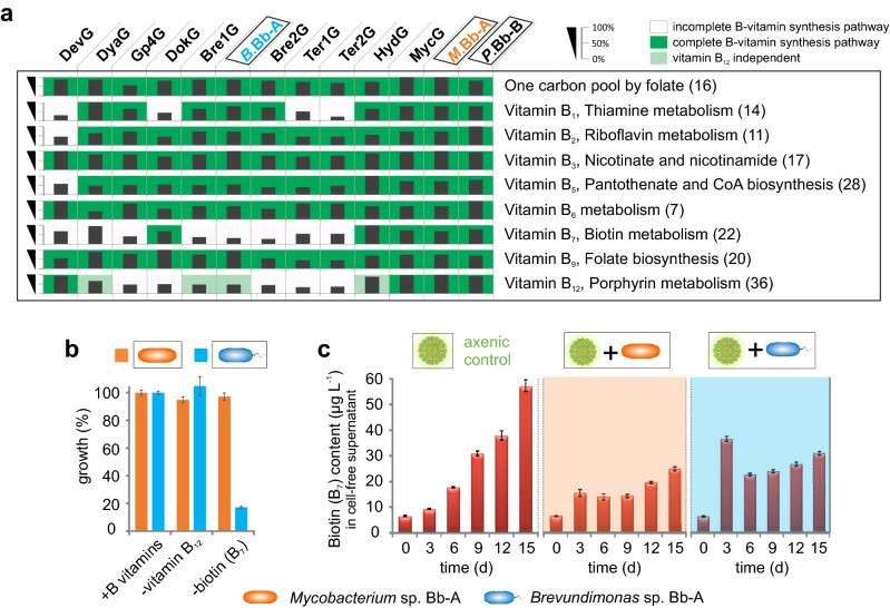 Inter- and intra-community cofactor dependencies that are essential for the bacterial core community as well as for isolates of B. braunii (Blifernez-Klassen et al., 2021)
