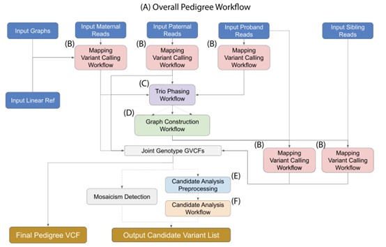 Figure 1. Schematic diagram showing the sequential steps of single-sample DNA alignment and variant detection process. ( Markello, 2022)