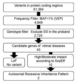 Figure 2. Sequential variant filtering workflow showing prioritization steps from initial variant list through frequency to identify actionable pathogenic variants. ( Saito, 2021)