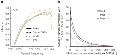 Figure 2 alt. How Phase I 1000 Genomes Data Informs GWAS.