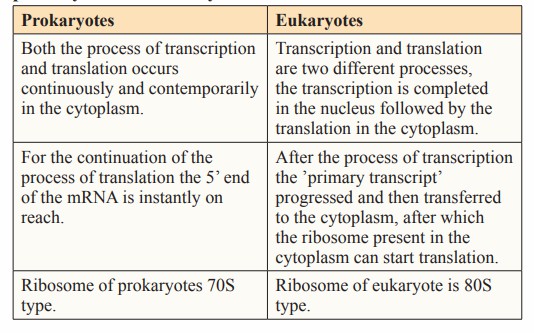 The distinction between the translation processes in prokaryotes and eukaryotic animals (Prakash et al., 2023)