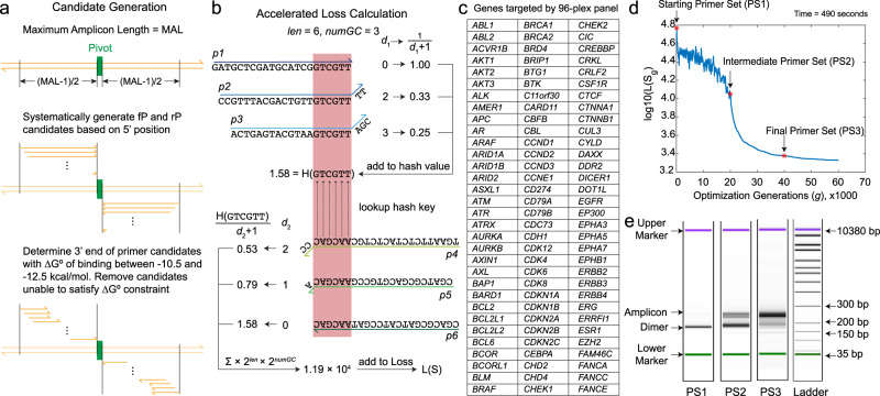 Implementation and experimental assessment of a multiplex primer design algorithm based on the SADDLE framework (Xie et al., 2022)