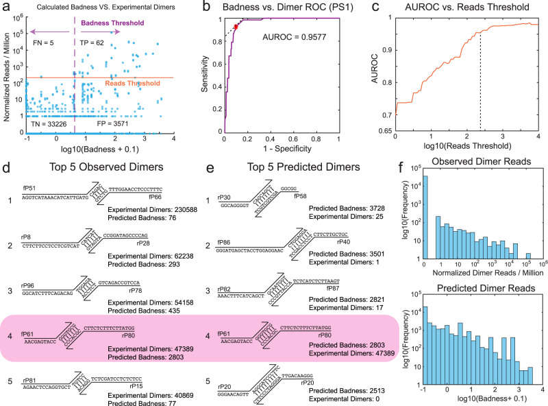 Assessment of the prediction accuracy of the Badness function for individual primer-dimer candidates (Xie et al., 2022)