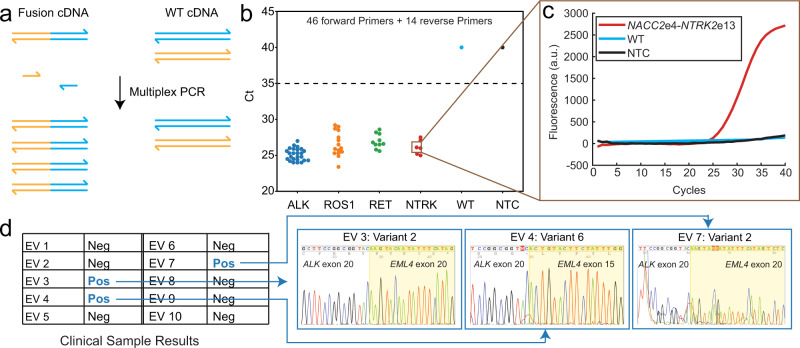 Highly multiplexed qPCR-based detection of gene fusions with primer sets designed by SADDLE (Xie et al., 2022)