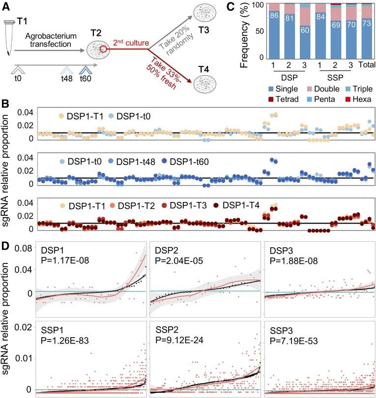 From Plasmid Pool to Individuals: High Coverage and Uniformity (Liu et al., 2020)
