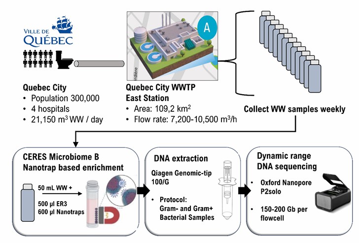 Application of metagenomics in biological research (Gauthier et al., 2021)
