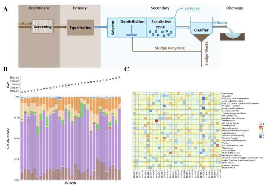 Application of metatranscriptomics in functional analysis of microbial communities in wastewater treatment systems (Mahajna et al., 2025)