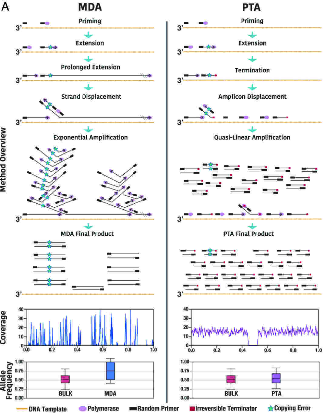 Comparison of single-cell WGA approaches based on MDA and PTA methods.