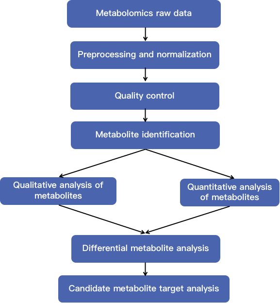 Data Analysis Process