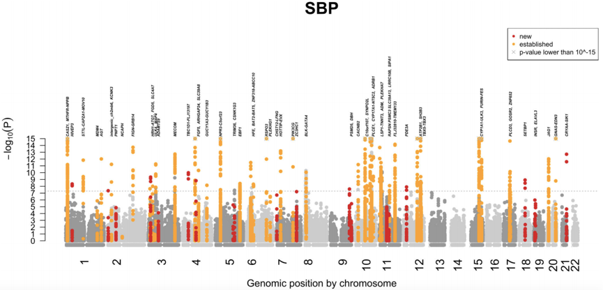 Manhattan plots for SBP from the stage 4 Cardio-MetaboChip-wide meta-analysis in the research of blood pressure regulation.  