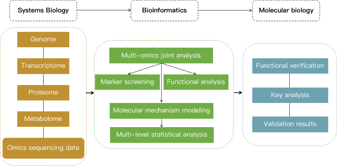 The overall framework and technical process of multi-omics joint analysis.