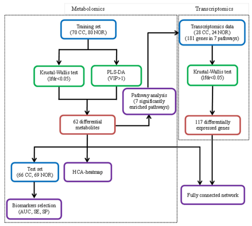 An overview workflow of the comprehensive analysis of metabolomics and transcriptomics in cervical cancer