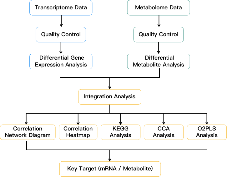 Flow chart showing transcriptome and metabolome integration analysis