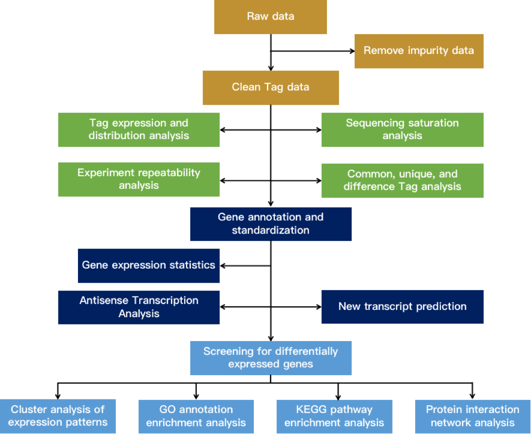 The general process of differentially expressed gene data analysis.