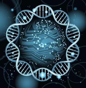 Gene Expression Analysis