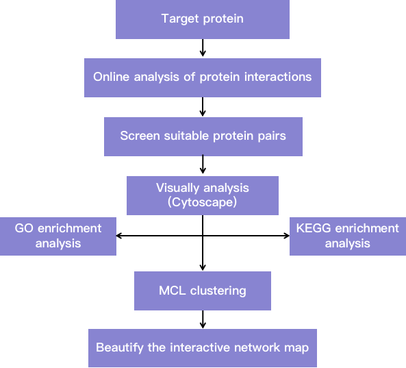 A flow chart showing PPI network analysis