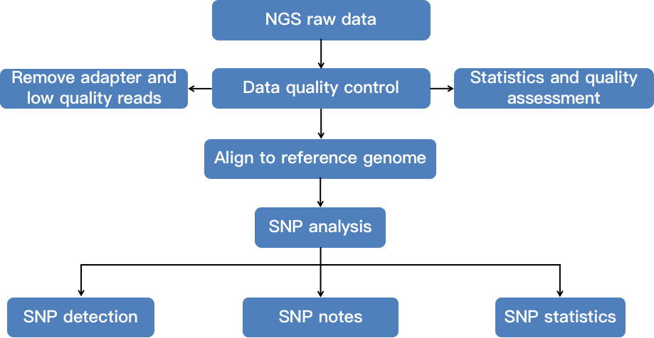 A flow chart demonstrating the whole-genome SNP genotyping analysis