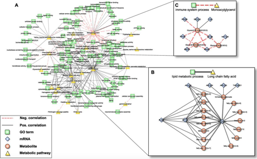 Biomarker and Target Discovery 