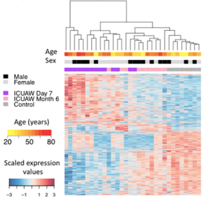 Biomarker and Target Discovery 