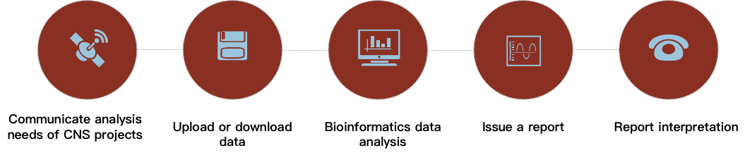 CD Genomics CNS bioinformatics data analysis service process. - CD Genomics.