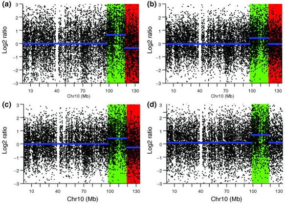 KEGG pathway enrichment analysis of differentially expressed genes between S28 and S6.