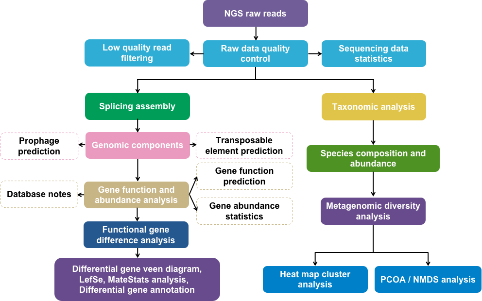 Metagenomics next-generation sequencing (mNGS) bioinformatics data analysis process. 