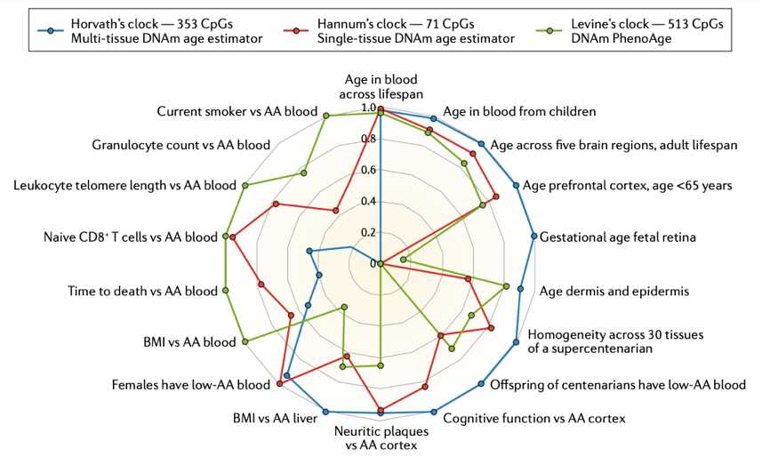 Comparison of three DNA methylation-based biomarkers of aging.