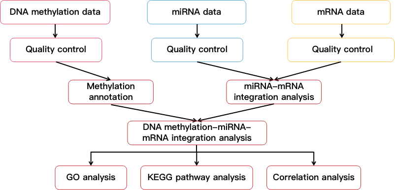 Flow chart showing DNA methylation-miRNA-mRNA integration analysis. - CD Genomics.