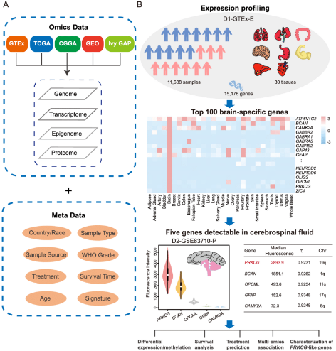 Datasets and bioinformatic analysis workflow. 