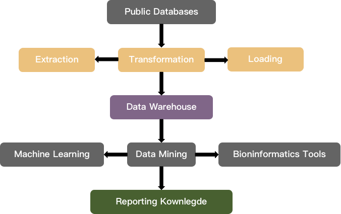 Process of knowledge discovery through data mining. - CD Genomics.