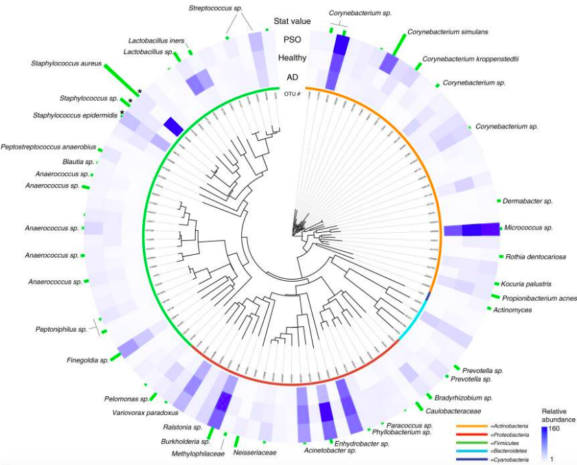 Characterization of the skin microbiome in atopic dermatitis and psoriasis. The figure shows an evolutionary tree based on 16S rRNA gene sequences, abundance and statistical significance of the 95 most abundant OTUs.