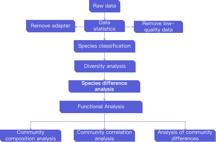 An example of a data analysis process. - CD Genomics.