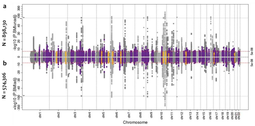 Manhattan plots of the sex-combined BMI-unadjusted and adjusted meta-analysis for type 2 diabetes.