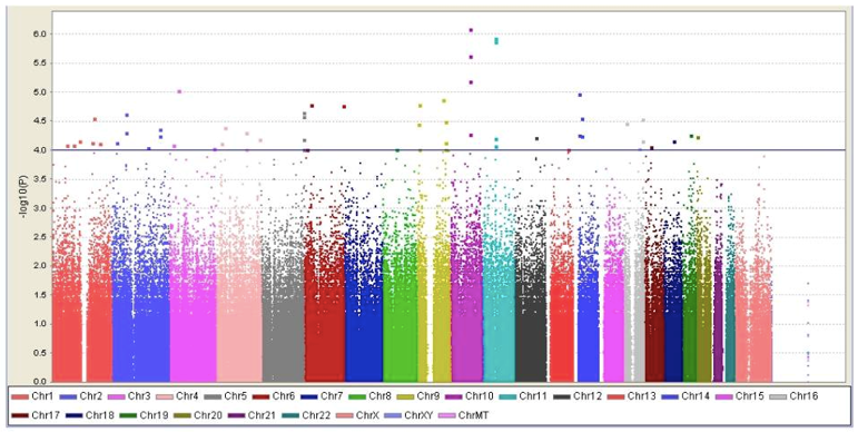 The Manhattan plot for the genome-wide association study (GWAS) of obesity (BMR) in the Korean female subjects.