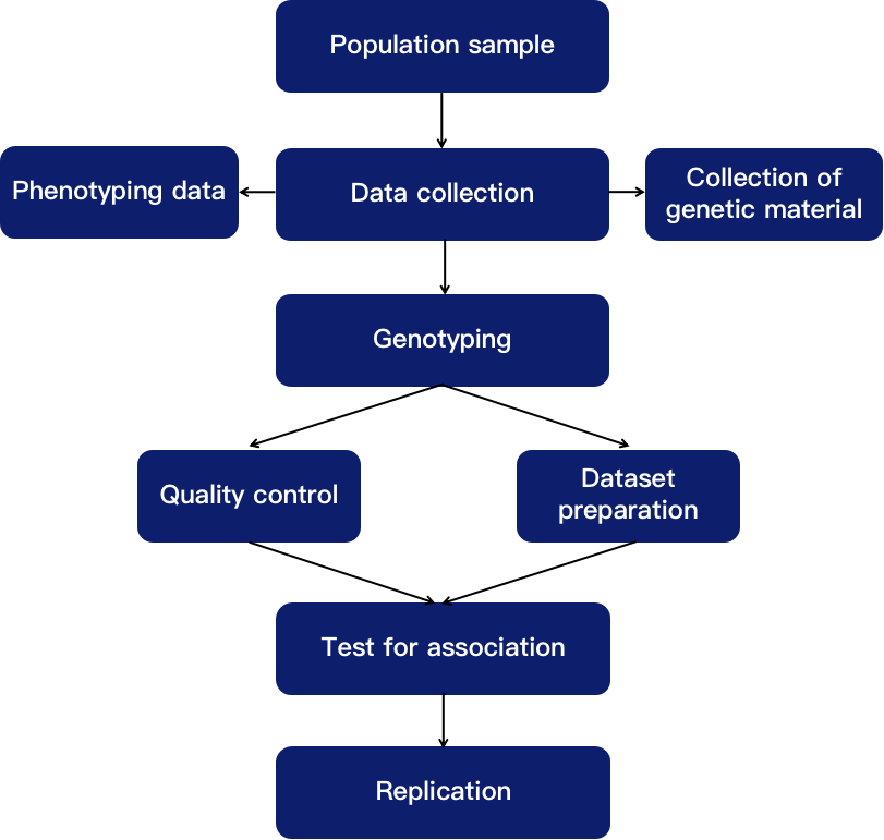 Genome-wide association analysis pipeline. - CD Genomics.