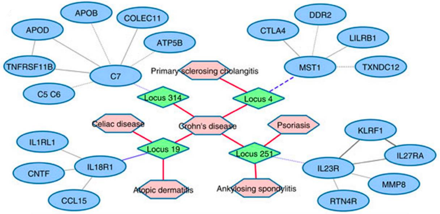 An Example of a genome-proteome-disease sub-network of Crohn's disease.