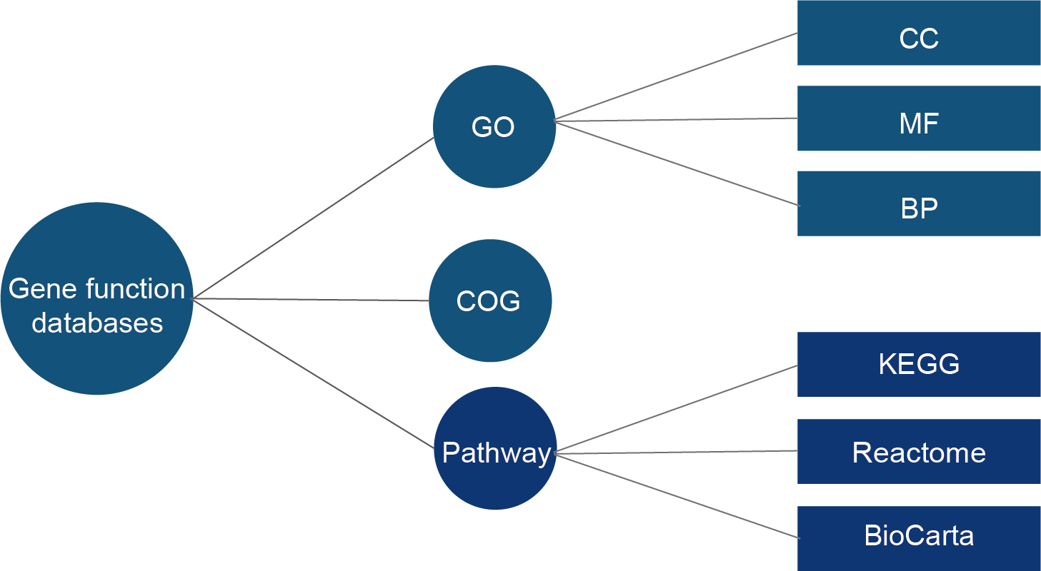 Gene Function Database - CD Genomics.